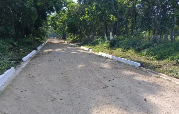 latificacion-diana-001