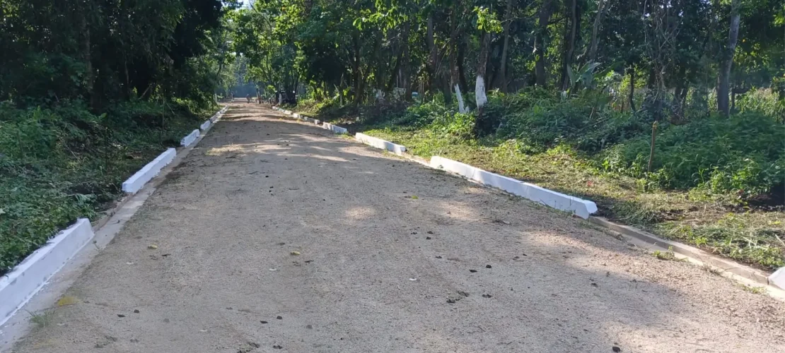 latificacion-diana-001